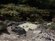 Spa.Ipponmatu