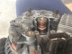 Alternator and slip ring