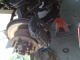Disc brake