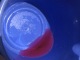 Coolant