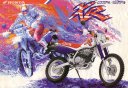 95xr600r250r