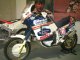 NXR '89