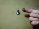 Missions oil doren bolt