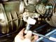 Bing CV Carburetor
