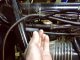 Distributor protection cap