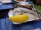 Oyster