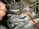 Brake Froude exchange