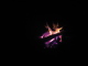 Combustion fire