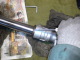 Dust seal