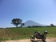 Niseko