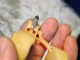 Valve needle